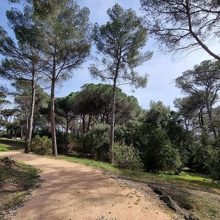 Chez K&D Studio Nature Avec Piscine St Raphael Saint-Raphael  Bagian luar foto