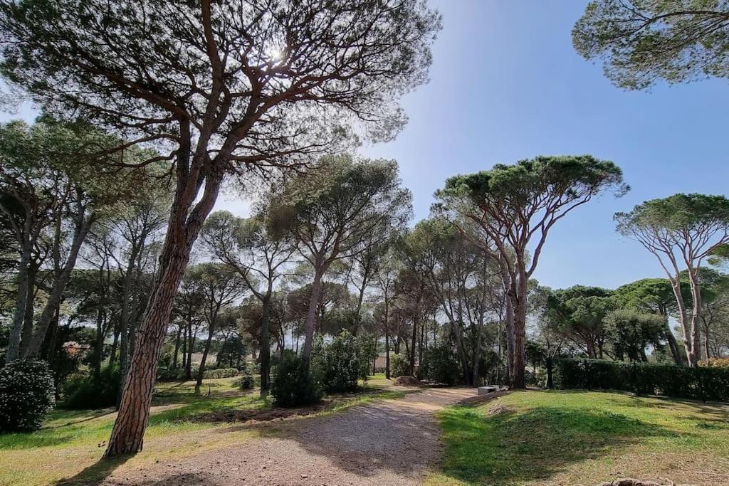 Chez K&D Studio Nature Avec Piscine St Raphael Saint-Raphael  Bagian luar foto